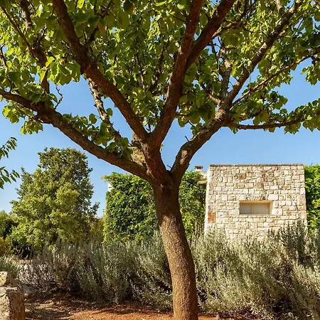 In Mit Privatem Pool Holiday home Ostuni
